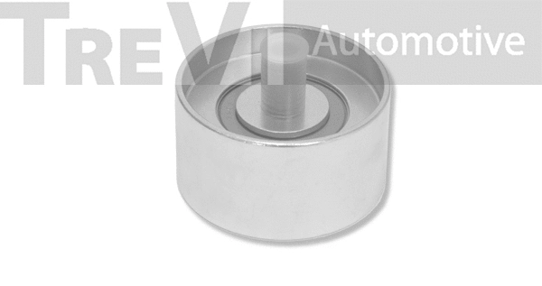 Deflection/Guide Pulley, timing belt (TD1579)