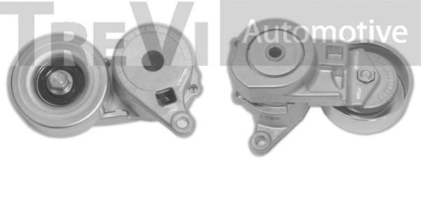 Tensioner Lever, V-ribbed belt (TA1891)