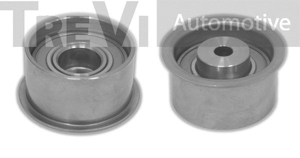 Deflection/Guide Pulley, timing belt (TD1600)