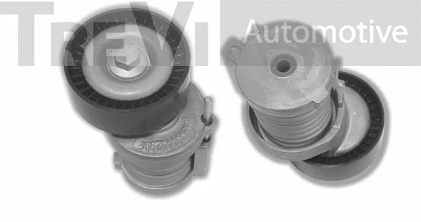 Tensioner Lever, V-ribbed belt (TA1172)