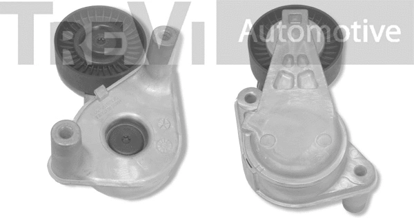 Tensioner Lever, V-ribbed belt (TA1772)