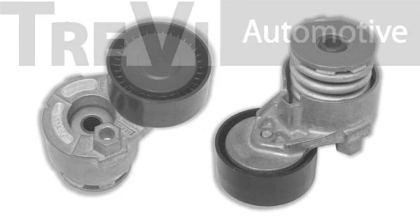Tensioner Lever, V-ribbed belt (TA1959)