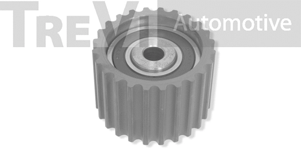 Tensioner Pulley, timing belt (TD1661)
