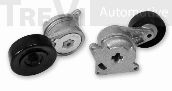 Tensioner Lever, V-ribbed belt (TA2041)