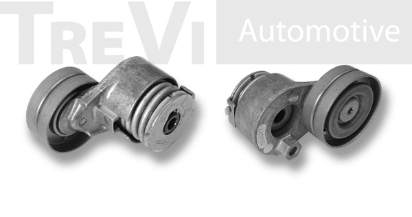 Tensioner Lever, V-ribbed belt (TA2048)