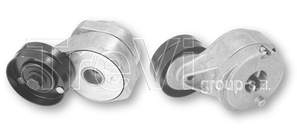 Tensioner Lever, V-ribbed belt (TA1436)