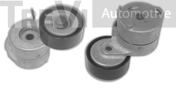 Tensioner Lever, V-ribbed belt (TA1779)