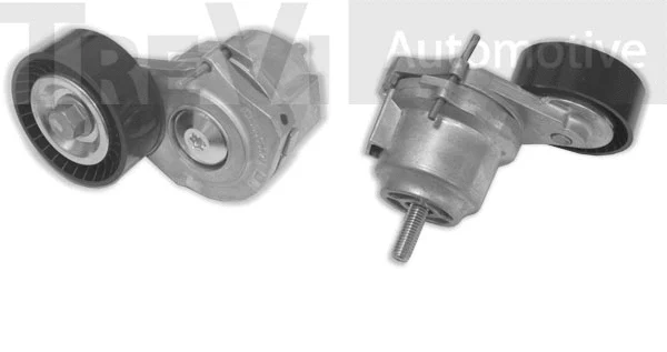 Tensioner Lever, V-ribbed belt (TA2166)