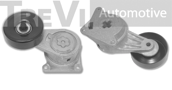 Tensioner Lever, V-ribbed belt (TA1843)