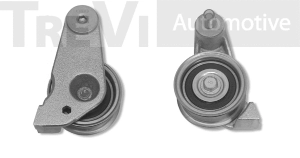 Tensioner Pulley, timing belt (TD1595)