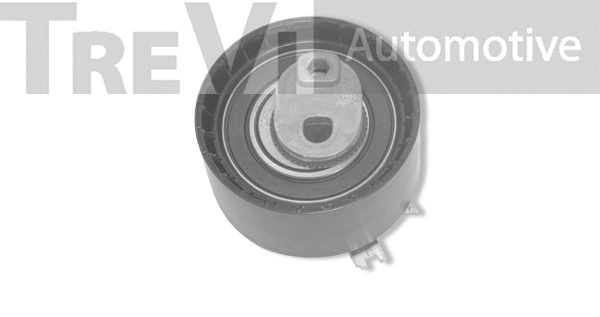 Tensioner Pulley, timing belt (TD1676)