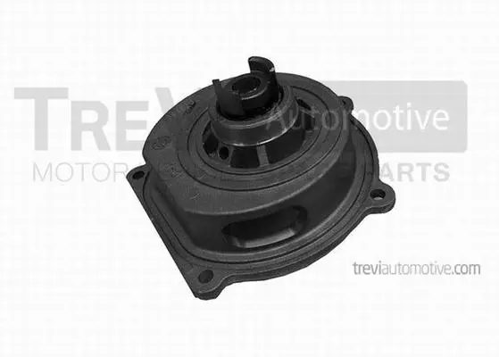 Water Pump, engine cooling (TP1087)
