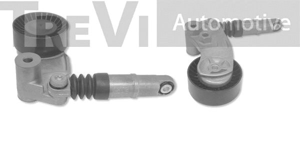 Tensioner Lever, V-ribbed belt (TA2224)