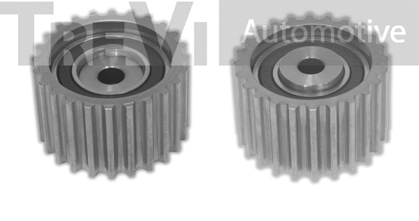 Tensioner Pulley, timing belt (TD1460)