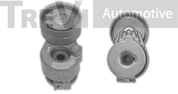 Tensioner Lever, V-ribbed belt (TA1840)