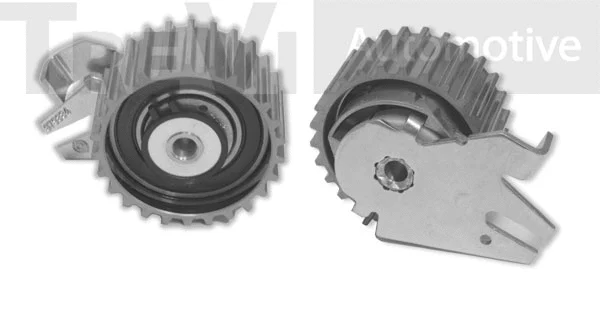 Tensioner Pulley, timing belt (TD1744)