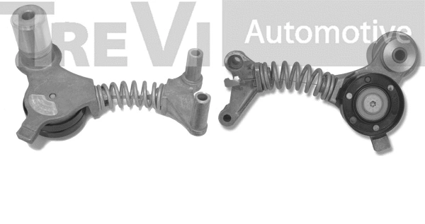 Tensioner Lever, V-ribbed belt (TA1556)