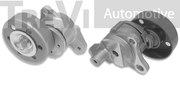 Tensioner Lever, V-ribbed belt (TA1973)