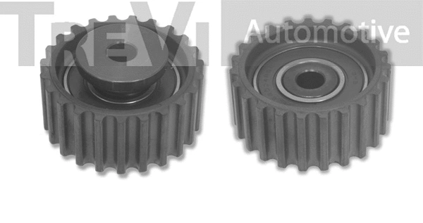 Deflection/Guide Pulley, timing belt (TD1583)