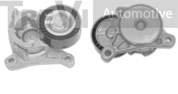 Tensioner Lever, V-ribbed belt (TA1491)
