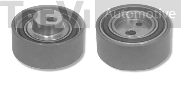 Tensioner Pulley, timing belt (TD1096)