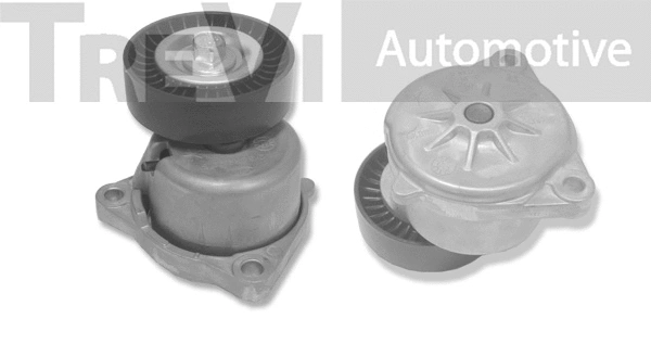 Tensioner Lever, V-ribbed belt (TA1707)