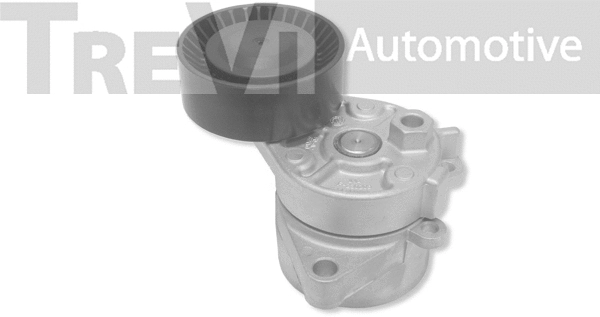 Tensioner Lever, V-ribbed belt (TA1113)