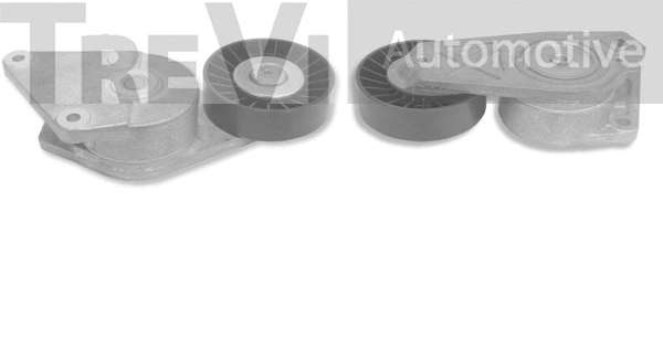 Tensioner Lever, V-ribbed belt (TA1142)
