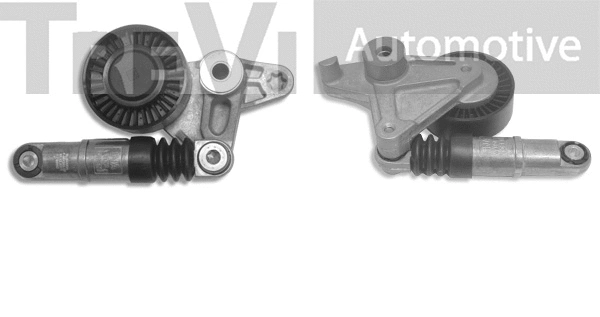 Tensioner Lever, V-ribbed belt (TA1798)