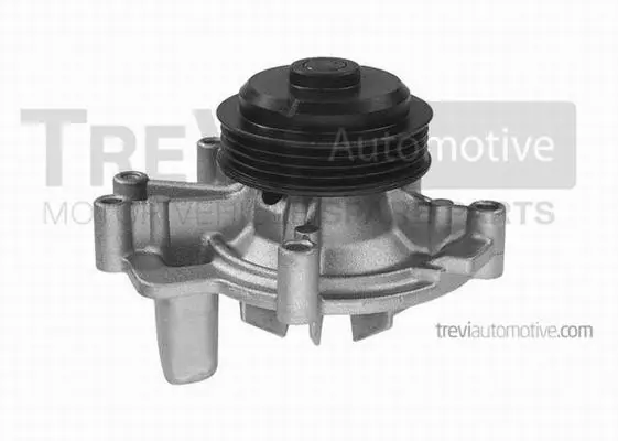 Water Pump, engine cooling (TP743)