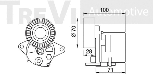 Tensioner Lever, V-ribbed belt