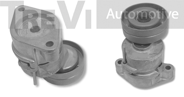 Tensioner Lever, V-ribbed belt (TA1465)
