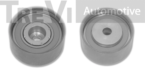 Deflection/Guide Pulley, timing belt (TD1587)