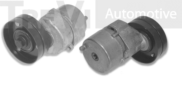Tensioner Lever, V-ribbed belt (TA1674)