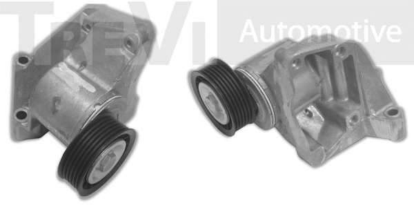 Tensioner Lever, V-ribbed belt (TA1501)
