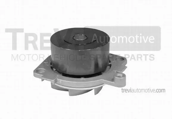 Water Pump, engine cooling (TP731)