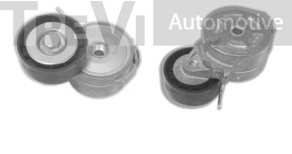Tensioner Lever, V-ribbed belt (TA1996)