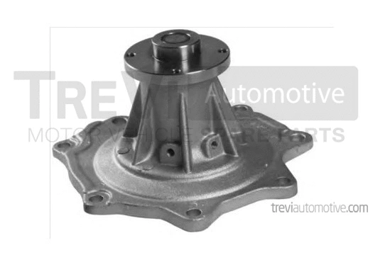 Water Pump, engine cooling (TP1095)