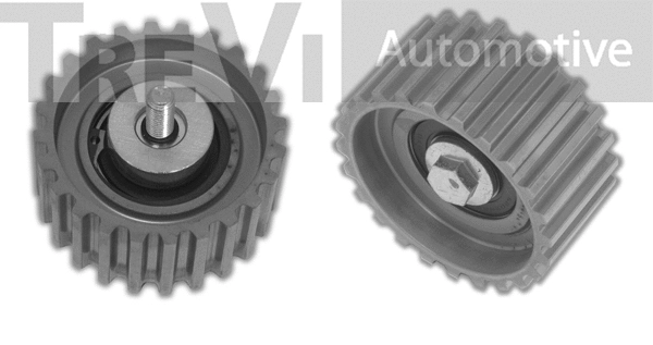 Deflection/Guide Pulley, timing belt (TD1522)