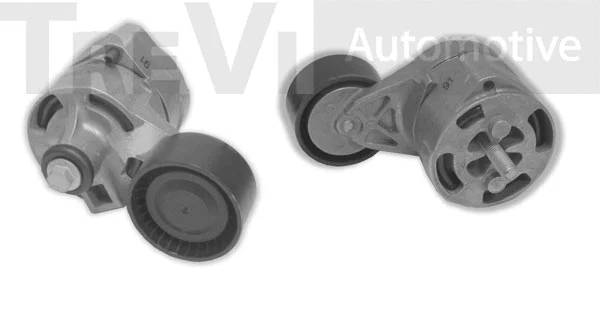 Tensioner Lever, V-ribbed belt (TA2164)