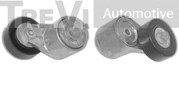 Tensioner Lever, V-ribbed belt (TA1801)