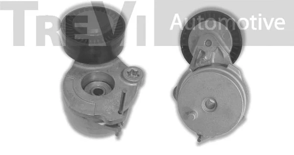Tensioner Lever, V-ribbed belt (TA2118)