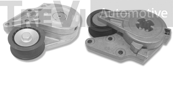 Tensioner Lever, V-ribbed belt (TA1578)