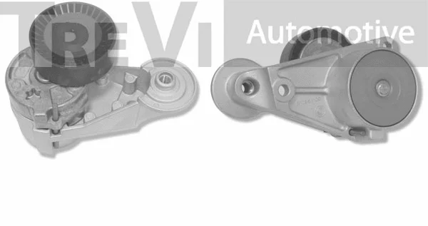 Tensioner Lever, V-ribbed belt (TA1567)