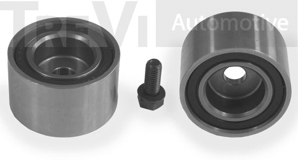 Deflection/Guide Pulley, timing belt (TD1691)