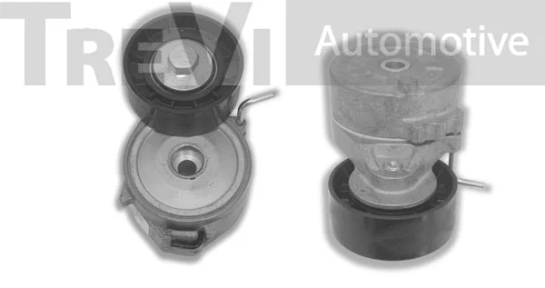 Tensioner Lever, V-ribbed belt (TA2162)