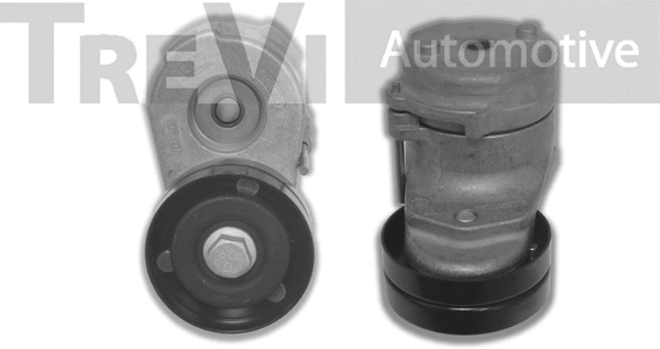 Tensioner Lever, V-ribbed belt (TA1800)