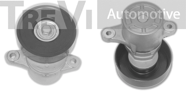 Tensioner Lever, V-ribbed belt (TA1441)