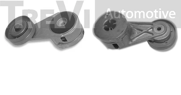 Tensioner Lever, V-ribbed belt (TA1992)