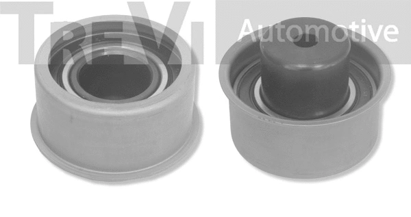 Deflection/Guide Pulley, timing belt (TD1673)